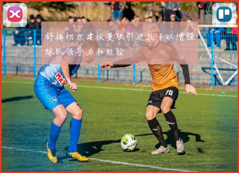 舒梅切尔建议曼联引进扎卡以增强球队领导力和经验