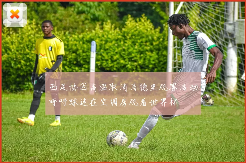 西足协因高温取消马德里观赛活动呼吁球迷在空调房观看世界杯